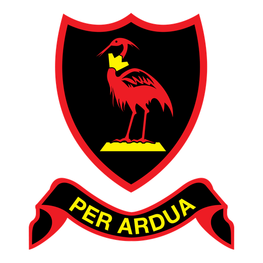 Dale College Boys’ High School crest